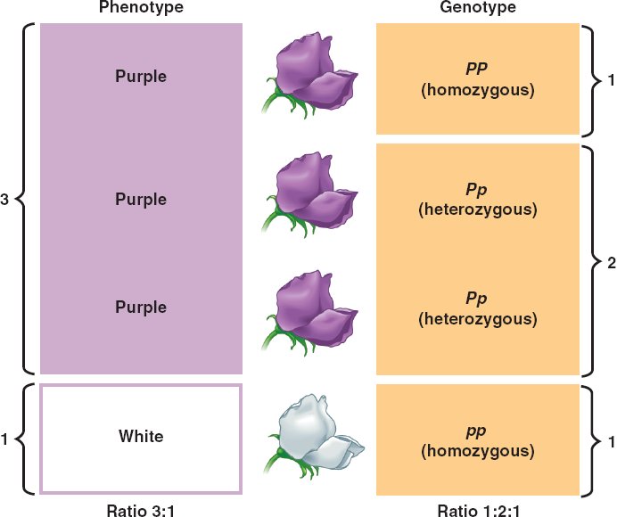 Test Review Marshscience7