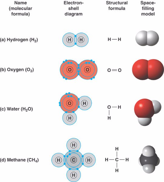 Chapter 2 The Chemical Context of Life