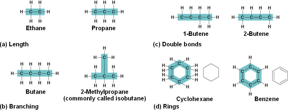 chapter-4-carbon-and-the-molecular-diversity-of-life