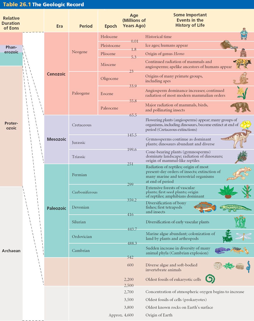 Geological html 26 01GeologicalRecord jpg